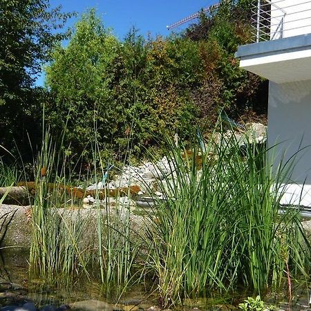 N1 Standalone House Baden Apartment Hertenstein Exterior photo