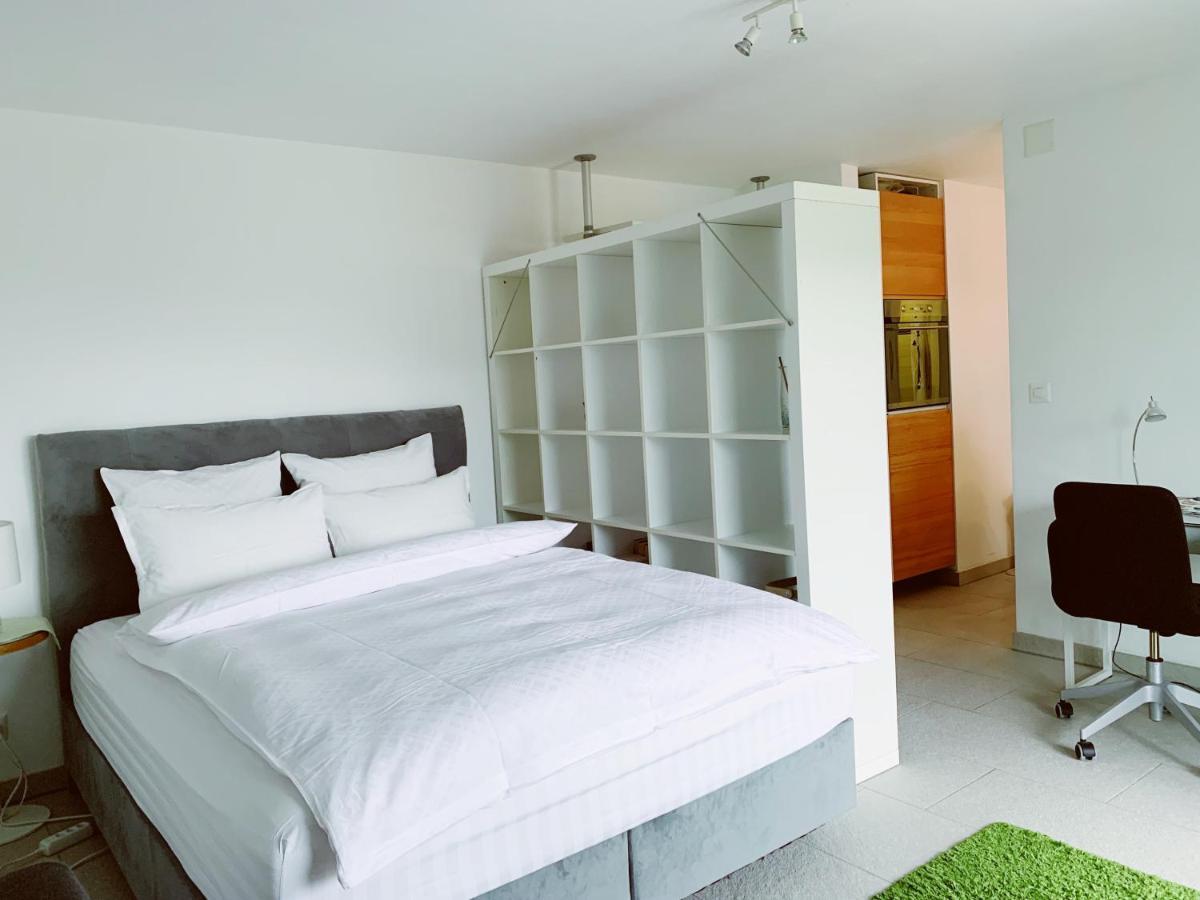 N1 Standalone House Baden Apartment Hertenstein Exterior photo